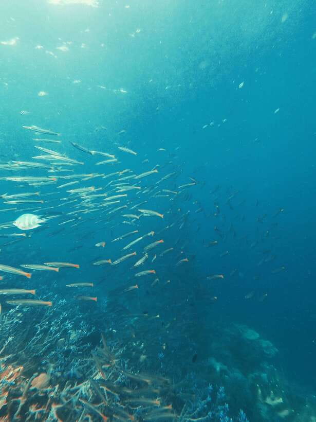 3DAYS AND 2NIGHTS SNORKEL ISLANDS HOPPING EXPEDITION - Coron to El Nido, One Trip That Changes Where You Sleep