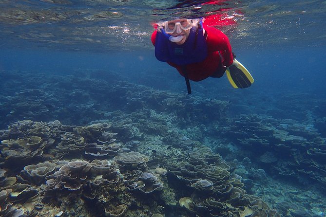 Anilao Snorkel Safari: Explore the Amazing Underwater World - Getting there: the 6:30am start and the AC van ride