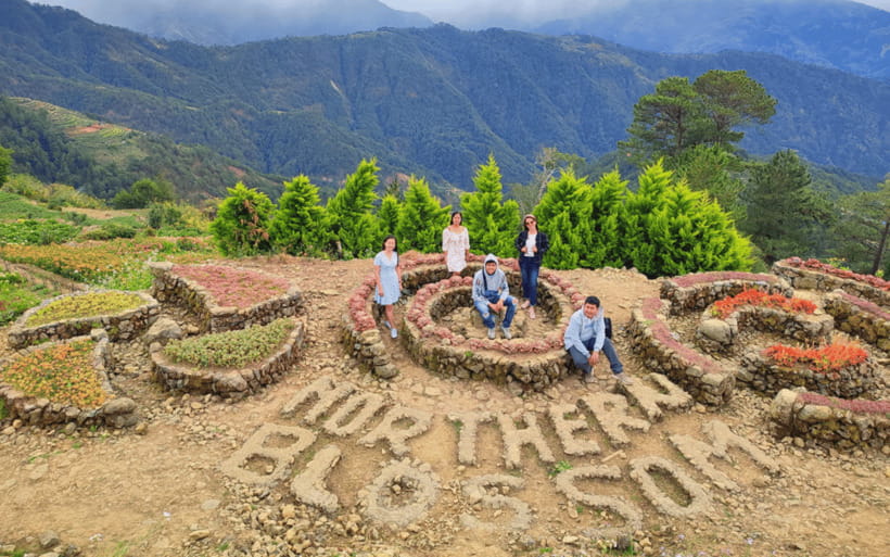 Baguio Atok Flower Blossoms (Private Tour) - Northern Blossom Flower Farm: rose cabbages and the flower-farm rhythm