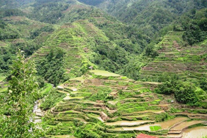 Banaue-Hapao Rice Terraces (Car Rental W/ Manila Tourist Driver) - The real value of a Manila to Banaue car with driver