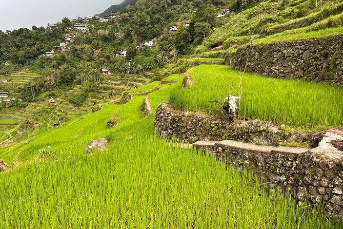Batad Guided Tour - Meet Miller Himmoldang and Bridgette, and why it matters
