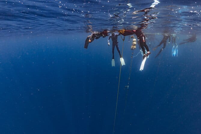 Beginner Freediving Course (with Bonus Session) - Safety-First Coaching, and the Instructor Names You’ll Actually Hear