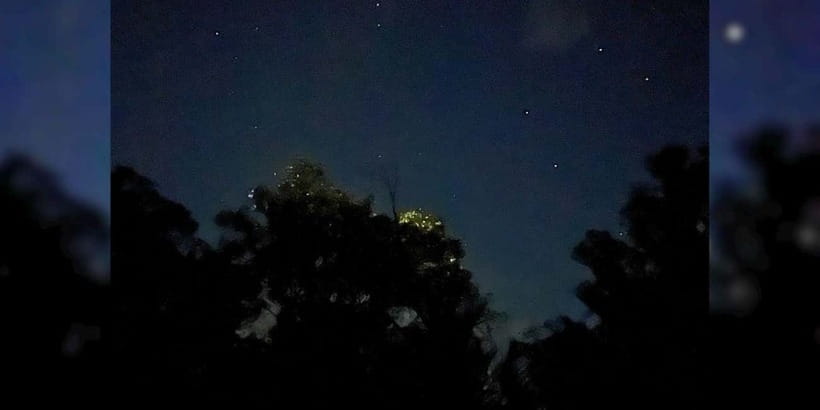 Bohol: Abatan River Firefly Watching Private Tour - Why Abatan River fireflies feel worth the trip
