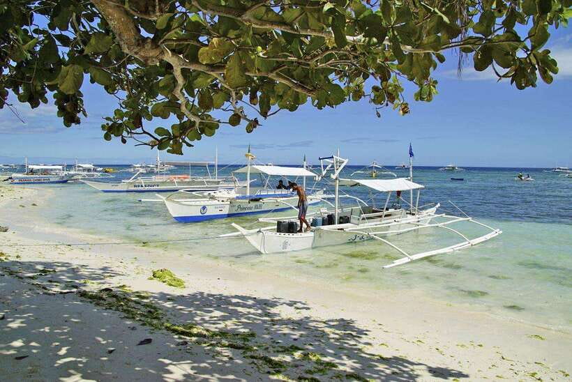 Bohol Balicasag Is Private Tour and Dolphin Watching - Private dolphin watching and island hopping around Panglao