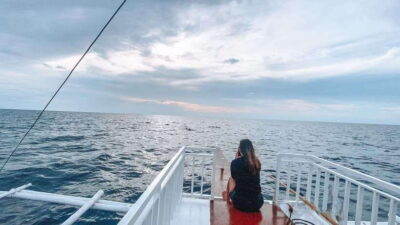 Bohol Balicasag Is Private Tour and Dolphin Watching