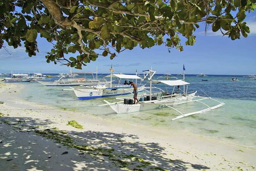 Bohol Balicasag Is Private Tour and Dolphin Watching - Price and value: is $108 per person a good deal?
