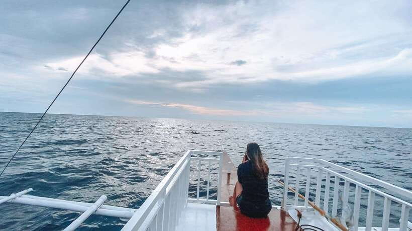 Bohol Balicasag Is Private Tour and Dolphin Watching - Balicasag Island snorkeling: fish, turtles, and the best kind of underwater time