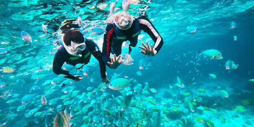 Bohol: Balicasag Private Island Hopping Tour - The feel of a private pump-boat day out of Panglao