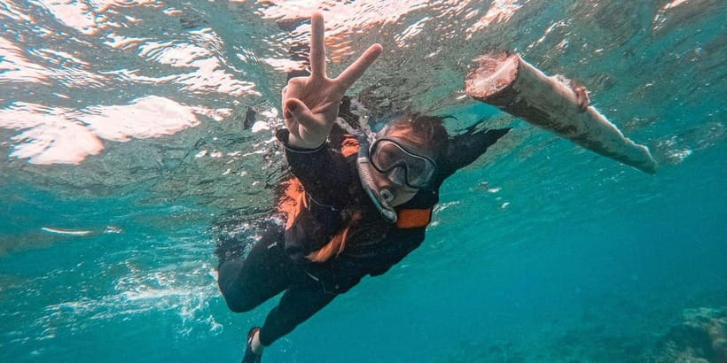Bohol: Balicasag Shared Island Hopping Tour - Dolphin watching cruise: make the most of the short guided viewing window