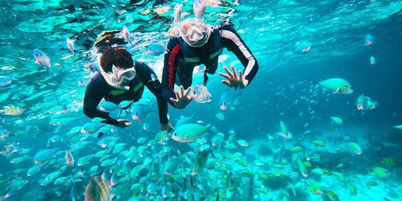 Bohol: Balicasag Shared Island Hopping Tour - The river-boat legs: the quieter parts that keep you on time