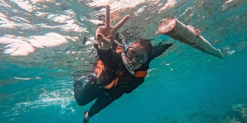 Bohol: Balicasag Shared Island Hopping Tour - What to bring for dolphins and snorkel time without stress