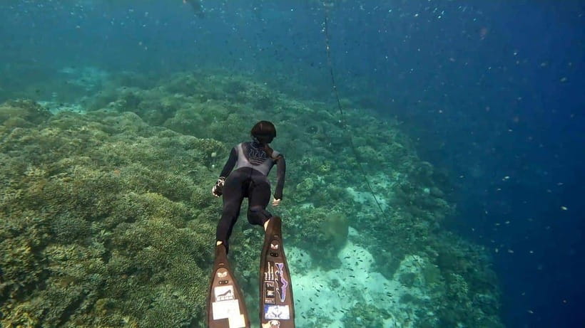Bohol: Boat Tour to Sandbar and Snorkeling with Turtles - Key highlights worth planning for