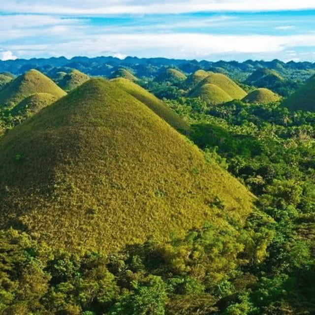 Bohol: Choco Tour + Loboc River Lunch Buffet + ATV Adventure - Tarsier Sanctuary: the tiny stop that changes the mood