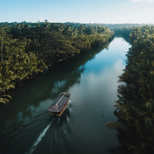 Bohol: Choco Tour + Rio Verde Lunch Buffet - Should You Book This Choco Tour with Rio Verde Lunch Buffet?