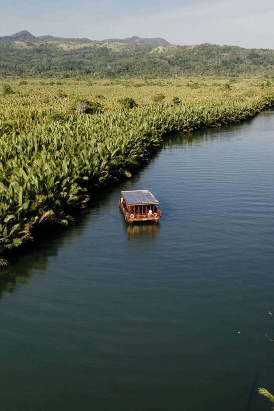 Bohol: Choco Tour + Rio Verde Lunch Buffet - Why This Bohol Mix Works: Chocolate Hills, Tarsiers, and a River Lunch