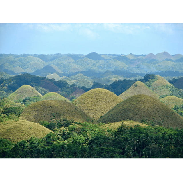Bohol: Choco Tour + Rio Verde Lunch Buffet - Who This 8-Hour Tour Fits Best