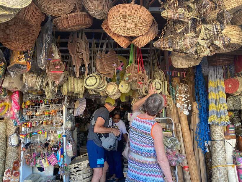 Bohol Chocolate hills Private Tour - Passing the Man-Made Forest: Why This Stop Matters