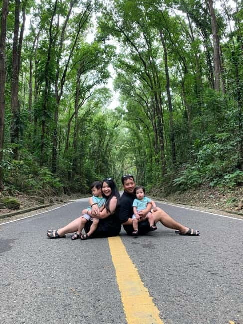 Bohol: Chocolate Hills, Tarsier, and Loboc River Tour - A day trip in Bohol that mixes big views with tiny wildlife