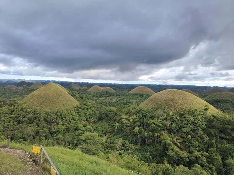 BOHOL: Chocolate Hills, Tarsiers and Loboc River Day Tour - How this Bohol day tour stays fun instead of chaotic
