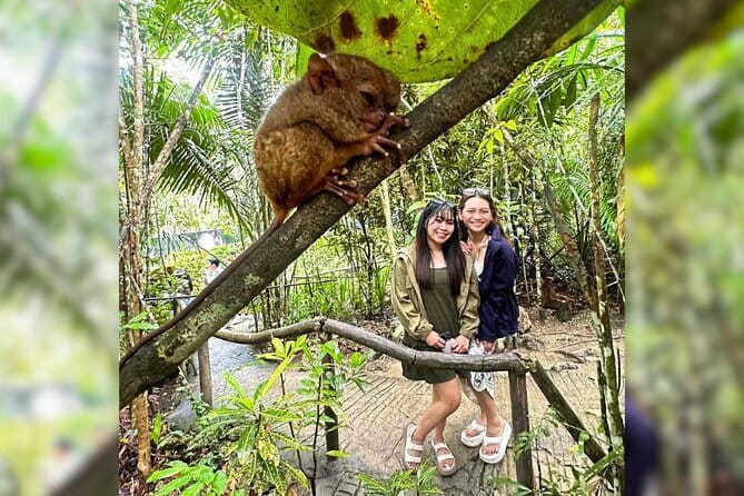 Bohol: Chocolate Hills, Tarsiers, & Loboc River Private Tour - A private 8-hour circuit of Bohol that stays organized