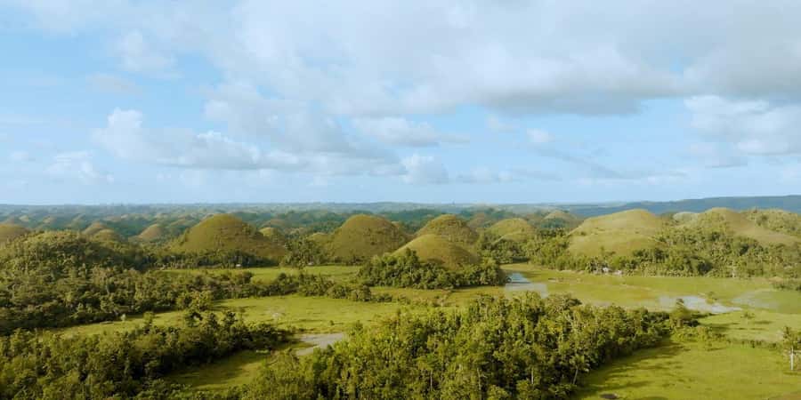 Bohol: Chocolate Hills, Tarsiers, & Loboc River Shared Tour - Group tour logistics: guide quality and the small annoyances