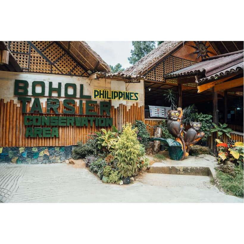 Bohol: Chocolate Hills Tour - Getting picked up, moving between stops, and staying comfortable