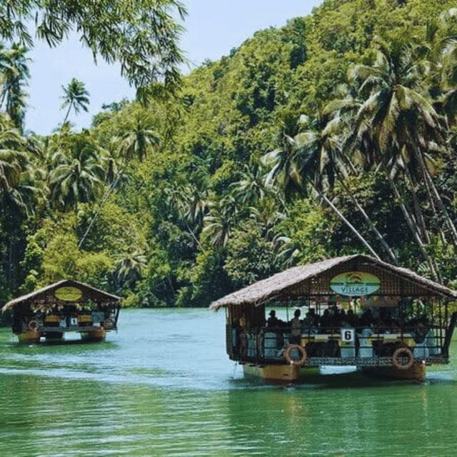 Bohol: Chocolate Hills Tour with Loboc River Cruise & Lunch - Tarsier Conservation Area and Man-Made Forest: small stops that add variety
