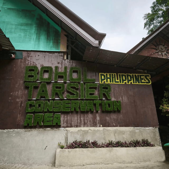 Bohol Chocolate Hills Tour with Loboc River Lunch Buffet - A full Bohol sampler, from Blood Compact to Loboc lunch