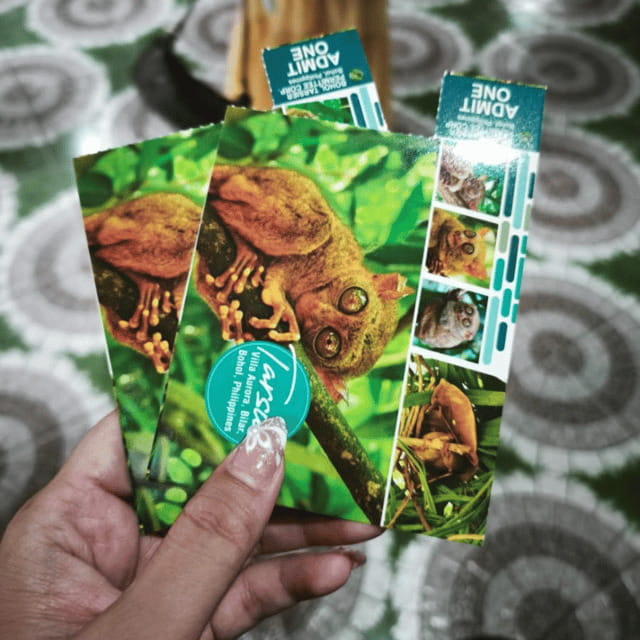 Bohol Chocolate Hills Tour with Loboc River Lunch Buffet - Tarsier Sanctuary: good odds, but don’t plan too tightly