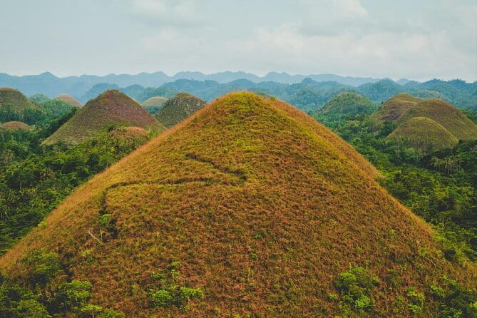 Bohol Country Side Tour - Private w/ Lunch - Bilar Man-Made Mahogany Forest: A Calm Nature Reset