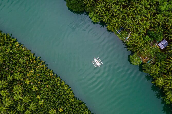 Bohol Country Side Tour - Private w/ Lunch - Philippine Tarsier and Wildlife Sanctuary in Corella