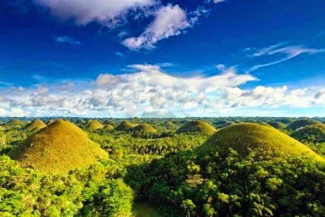 Bohol Countryside Day Tour From Cebu City | Lunch at Loboc River Cruise - Loboc River Cruise Lunch: The Most Fun Piece of the Day
