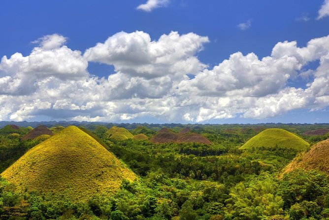 Bohol Countryside Day Tour From Cebu City | Lunch at Loboc River Cruise - Price and Value at Around $145 Per Person