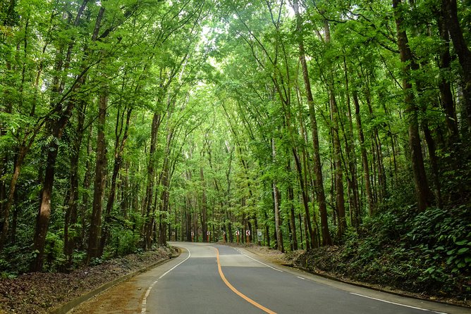 Bohol Countryside Day Tour from Cebu City or Mactan - Best Seller - How the 4:30 am Ferry Day Trip Works