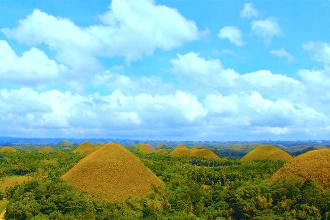 Bohol Countryside Day Tour from Cebu City or Mactan - Best Seller - Bohol Python and Tarsiers: animals, photos, and how to use your time