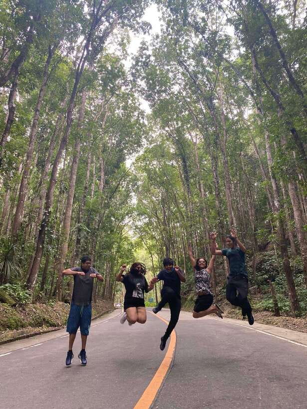 Bohol Countryside Private Tour From Cebu City | Private Tour - Who should book, and who should skip this Cebu to Bohol private tour?