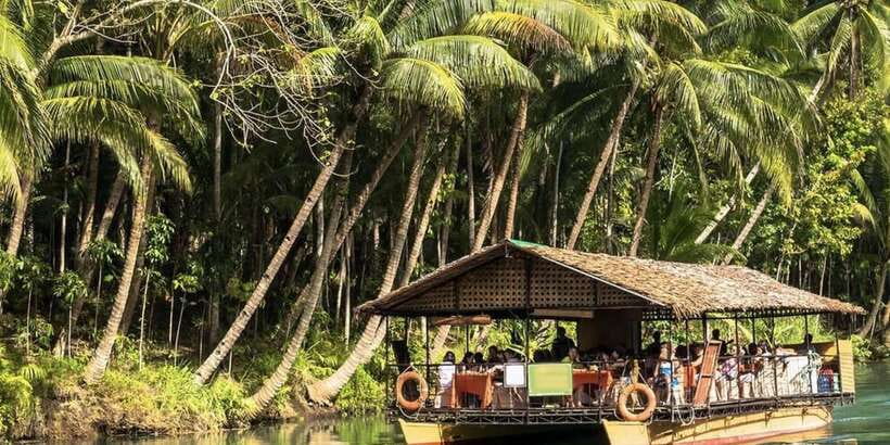 Bohol: Countryside Tour with Loboc (Buffet Lunch) - Tarsier Sanctuary: the tiny primate moment to manage expectations