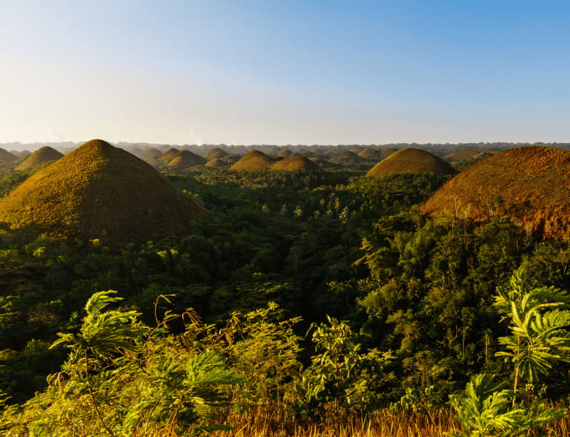 Bohol: Countryside Tour with Tarsiers and Chocolate Hills - Shared van setup, and what that means for your experience