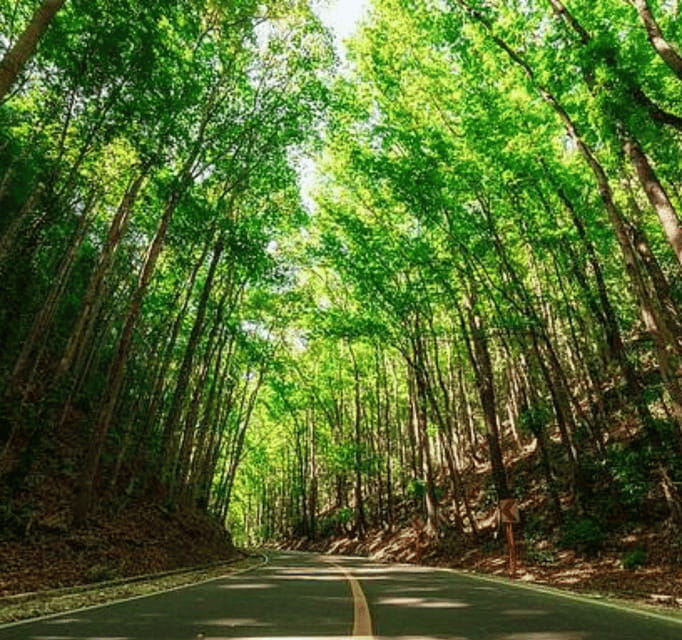 Bohol Day Tour From Cebu City or Mactan (Private Tour) - Private Bohol, big sights, fewer headaches