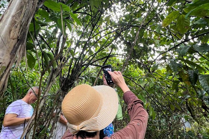Bohol Day Tour with Round-Trip Transfers from Cebu - The Guide Makes the Difference, and You Can Feel It