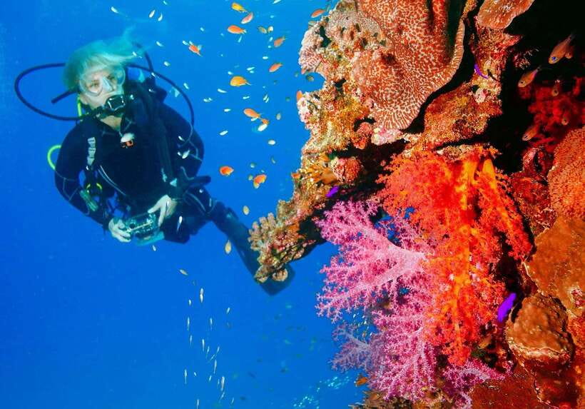 Bohol: Discover Scuba Diving - No Experience Needed - First-Time Scuba Training in Panglao: What This Experience Feels Like