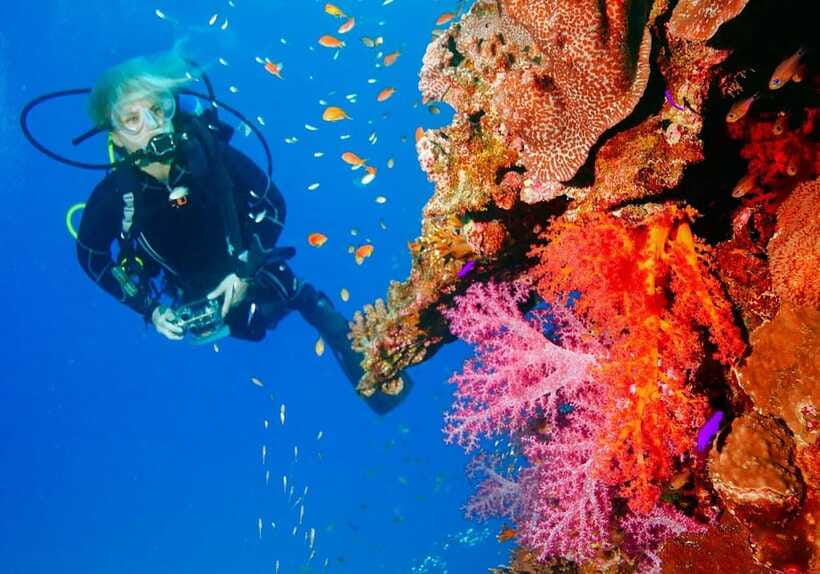 Bohol: Discover Scuba Diving - No Experience Needed - Who This Is Best For, and Who Might Want a Different Plan