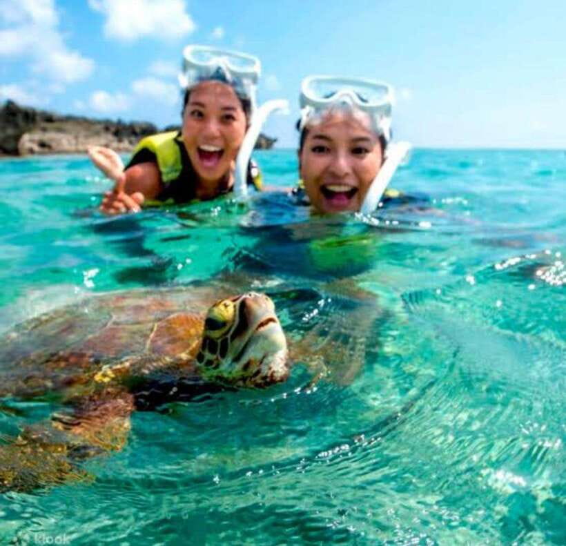 Bohol: Dolphin Watching & Sea Turtle Swim Island Tour - Reef Snorkeling Around Balicasag, What the Colorful Water Can Teach You