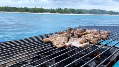 Dolphin Watching & Snorkeling at Balicasag Island
