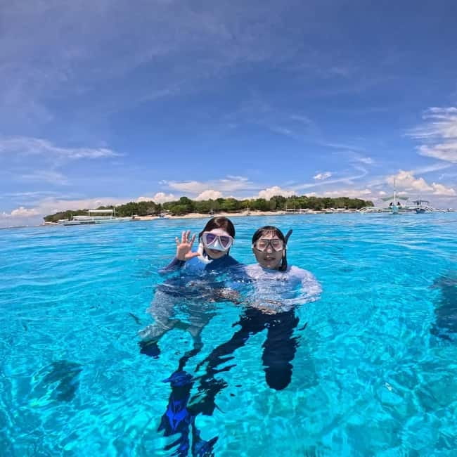 BOHOL: Dolphin Watching, Turtle Swim and Party Boat - Sunrise Dolphins off Panglao, then Balicasag Sea Turtles
