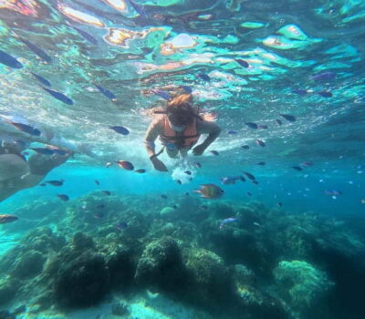 Dolphin Watching, Turtle Swim and Party Boat