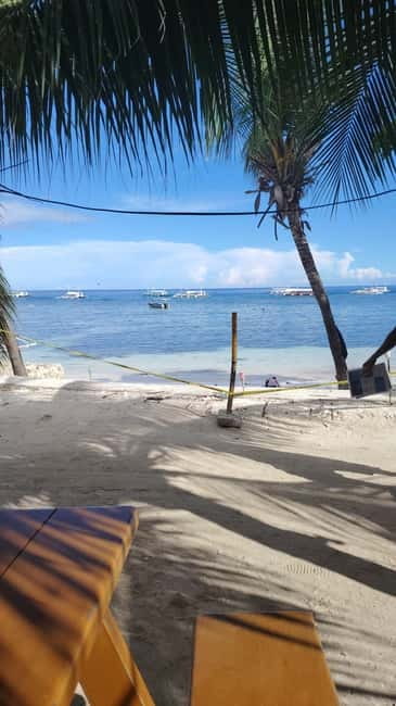 BOHOL: Dolphin Watching, Turtle Swim and Party Boat - Balicasag snorkeling with sea turtles and reef, plus underwater photo support