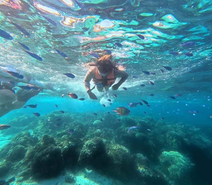 BOHOL: Dolphin Watching, Turtle Swim and Party Boat - Where to meet and how to start on time at Bohol South Beach Hotel
