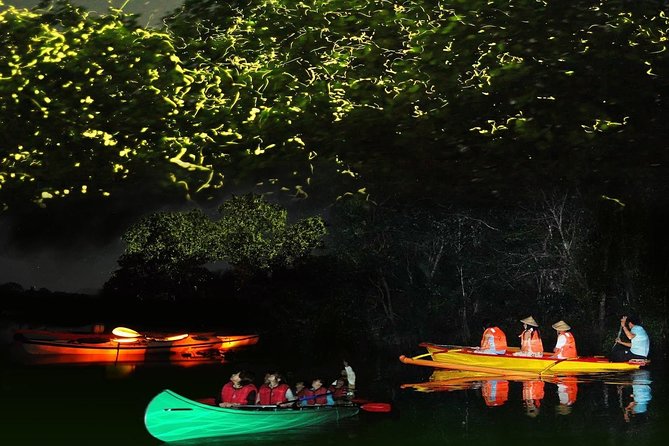 Bohol Firefly Watching (Private) - Quick hits before you go