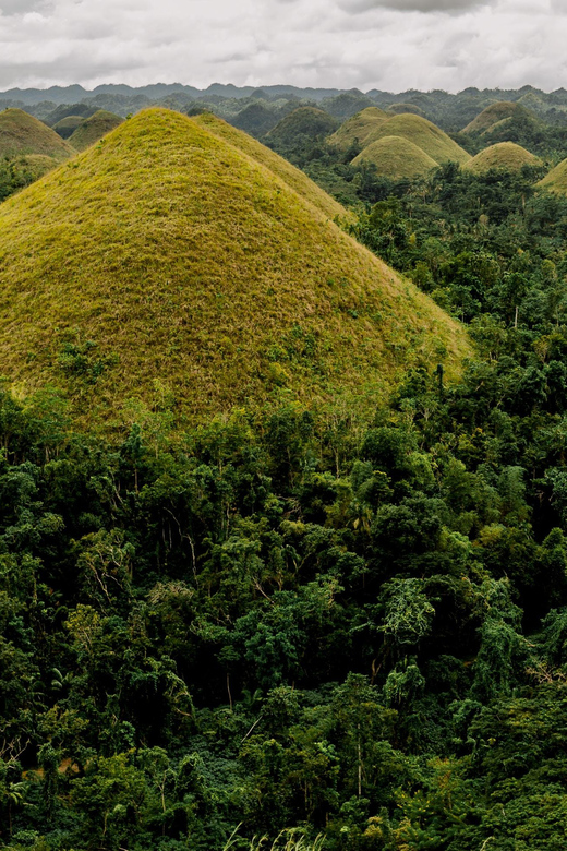 Bohol: Full Day Countryside Tour w Loboc River Lunch - Man-made Forest photo stop: quick, pretty, and practical
